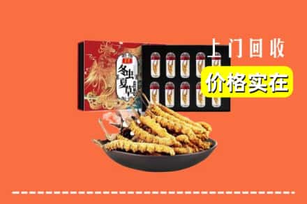 黔东南州榕江回收冬虫夏草